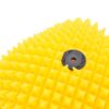 FWF PRO 7970_2 FWF PRO 7970_2