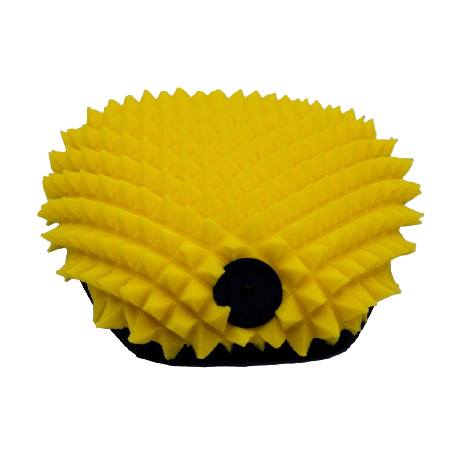 FWF PRO 7981_1 FWF PRO 7981_1